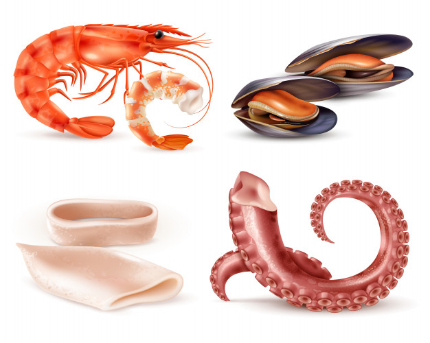 mollusk,prepared,delicacy,fillet,grilling,tentacle,conch,slice,raw,mussel,isolated,shellfish,ingredient,scallop,clam,culinary,prawn,oyster,seashell,squid,realistic,cuisine,set,lobster,collection,gourmet,meal,shrimp,marine,fresh,octopus,shell,lunch,diet,seafood,product,ocean,cocktail,cooking,kitchen,fish,sea,restaurant,menu,food
