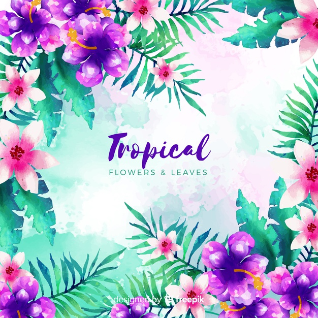 exotic flowers,blooming,vegetation,exotic,bloom,palm leaves,tropical flower,tropical flowers,palm leaf,beautiful,blossom,palm,natural,plant,purple,tropical,leaves,nature,green,leaf,flowers,floral,watercolor,flower,background