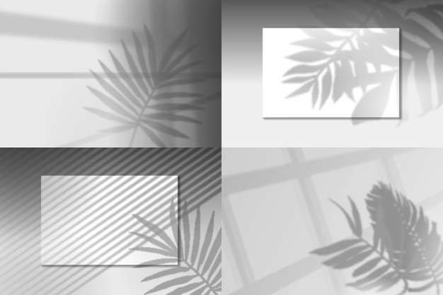 tropica,tropica leaves,indoors,shade,outside,inside,transparency,outdoors,shadows,concept,overlay,windows,transparent,element,effect,shadow,grey,window,leaves,light,leaf,design,abstract