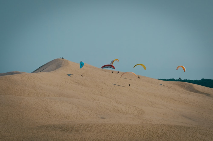 adventure,arid,desert,dune,outdoors,paragliders,sand,sand dunes