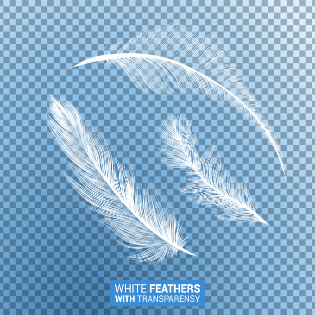 White fluff Vectors & Illustrations for Free Download