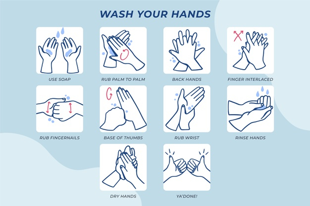 disinfecting,pathogens,wash your hands,viruses,cleansing,precaution,sanitation,prevention,bacteria,protection,wash,washing,soap,illustration,cleaning,hands,water