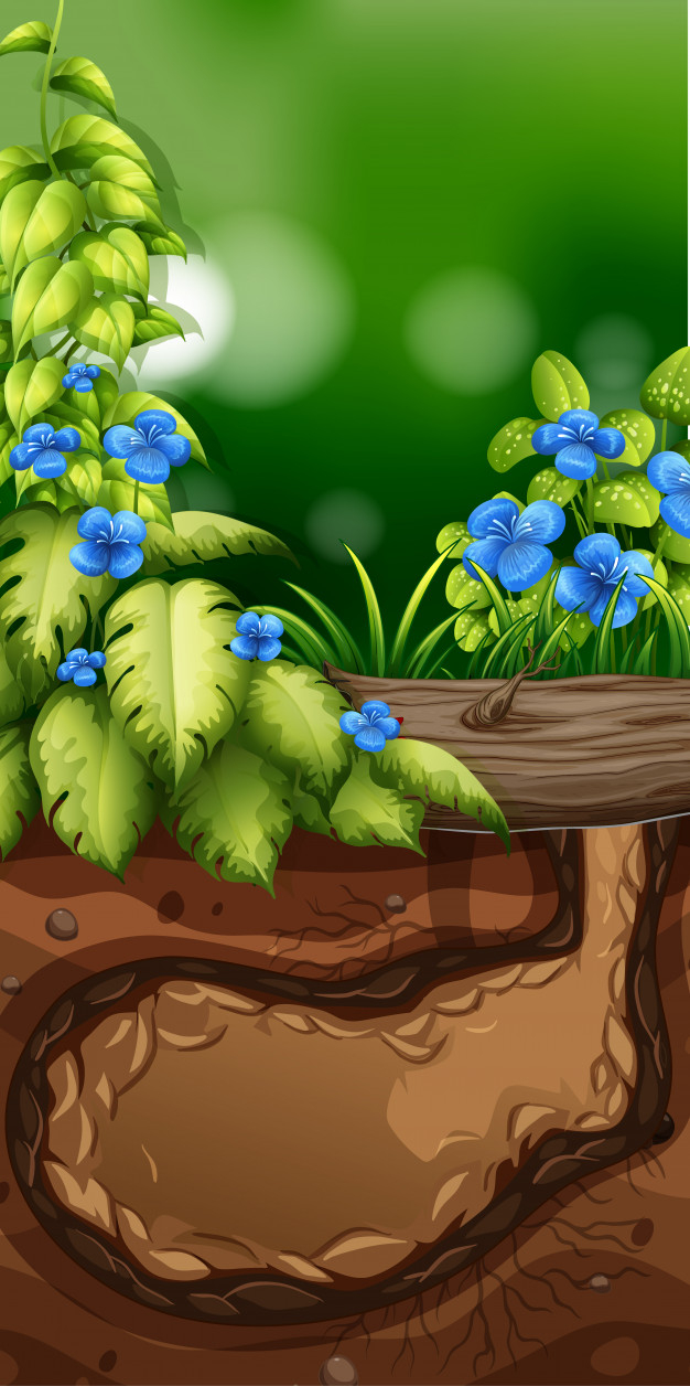 Free: Nature scene with blue flowers in garden Free Vector 