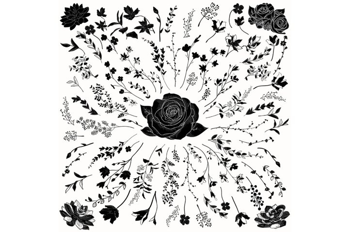 black-and-white,monochrome photography,monochrome,line art,botany,plant,flower,floral design,illustration,coloring book,designbundles