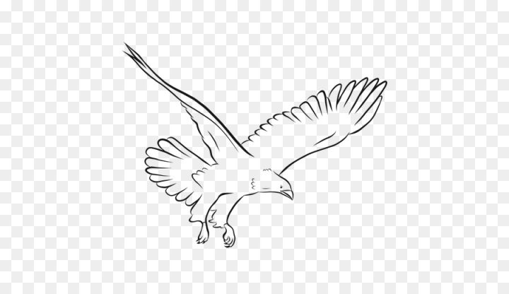 Explore 172+ Free Bald Eagle Illustrations: Download Now - Pixabay