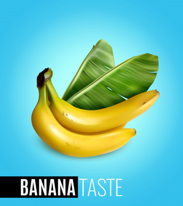 Fresh ripe delicious organic bananas bunch Vector Image