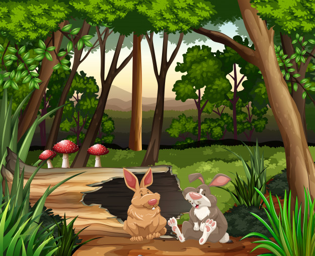 Free: Scene with two rabbits in forest Free Vector 