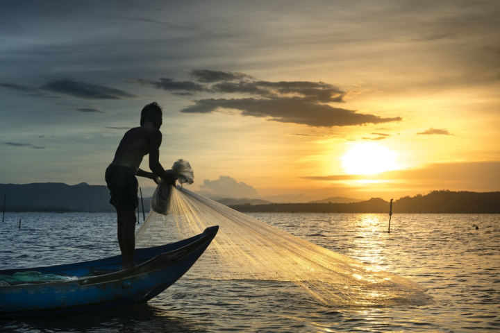 Free: Man Pulling Fish Net Out Of The Water 