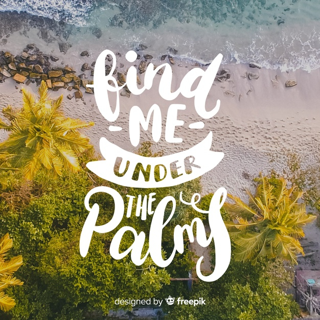seashore,seasonal,summertime,calligraphic,top view,top,season,view,sunshine,picture,lettering,vacation,palm,palm tree,holiday,text,photo,font,typography,sun,sea,beach,summer,tree