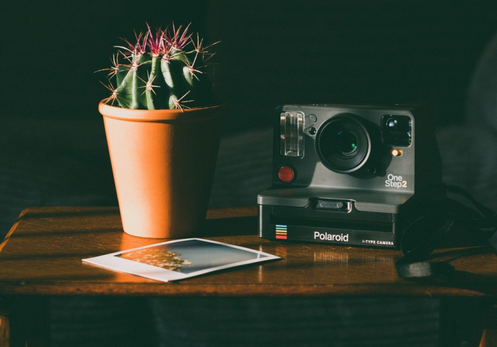 analog camera,cactus,camera,device,electronics,houseplant,instant camera,lens,modern,photograph,picture,plant,polaroid,pot plant,potted plant,prickly,spike,spiky,spine,spiny,succulent,succulent plant,technology,wooden