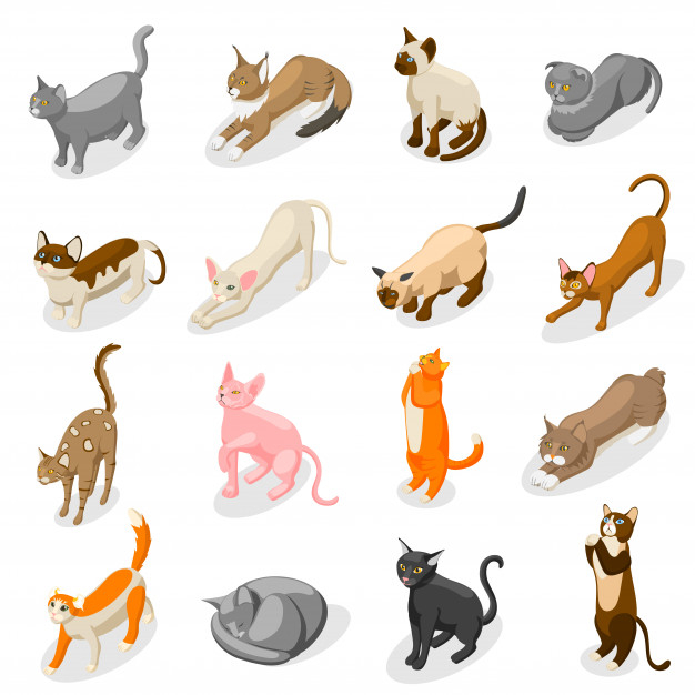 Set Of Cute Cats Flat Icons, Vector Flat Illustrations. Cat Breeds