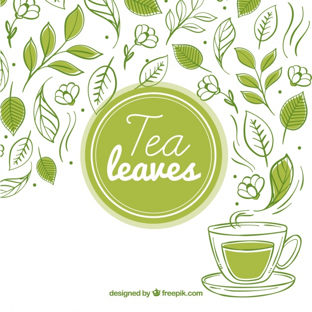 infusion tea,plants background,tea plantation,infusion,plantation,tea leaf,leafs,tea leaves,tea cup,plants,cup,tea,leaves,leaf,background