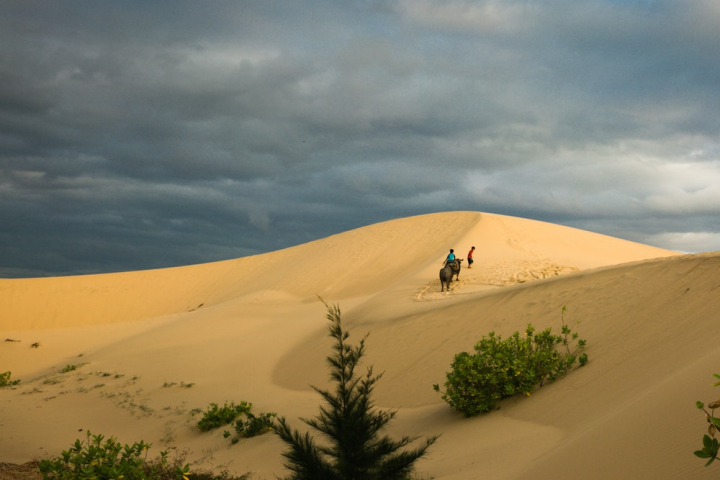 adventure,arid,desert,deserted,dune,landscape,nature,outdoors,sand,sand dunes,scenic,wasteland