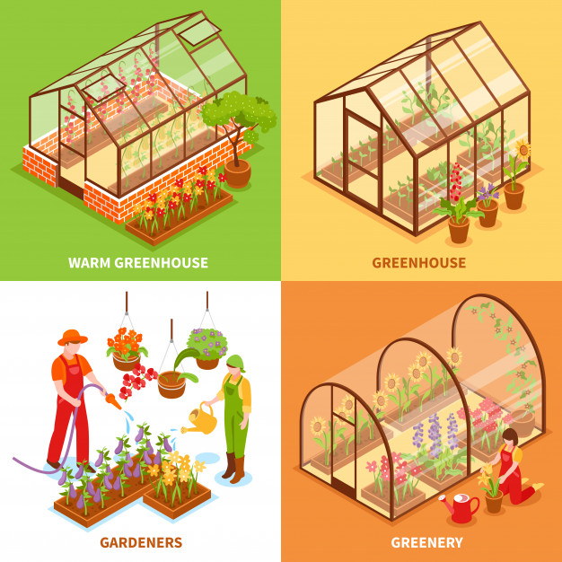 hothouse,cultivated,glasshouse,cultivation,horticulture,greenhouse,crop,growing,rural,set,nursery,concept,farming,gardening,seed,land,outdoor,field,service,vegetable,healthy,industry,agriculture,elements,natural,organic,glass,plant,wheat,flat,isometric,internet,garden,web,icons,landscape,farm,nature,infographics,green,house,technology,design,abstract,tree,business,flower