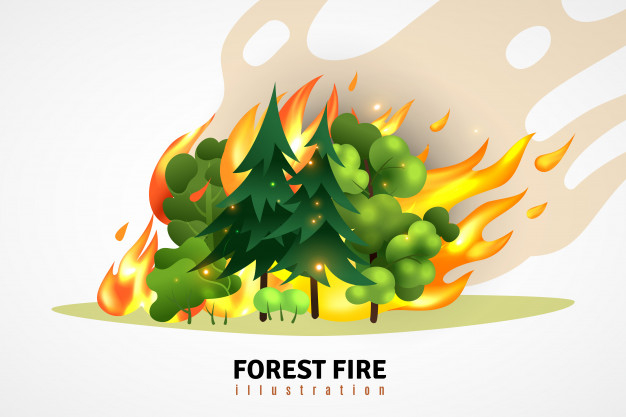 Free: Natural disasters cartoon design concept illustrated green coniferous  and deciduous trees in forest on raging fire illustration Free Vector -  