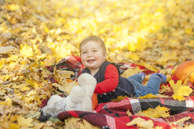 careless,adorable,little,small,son,childhood,playing,horizontal,blanket,teddy,day,lifestyle,beautiful,young,outdoor,teddy bear,park,boy,fall,child,bear,kid,happy,cute,autumn,nature,baby