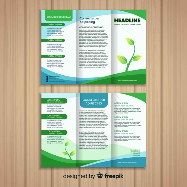 biodiversity,excursion,fold,brochure cover,trifold,page,cover page,trifold brochure,document,information,natural,booklet,data,organic,eco,plant,flat,brochure flyer,stationery,flyer template,leaves,leaflet,forest,brochure template,nature,leaf,template,cover,flyer,brochure