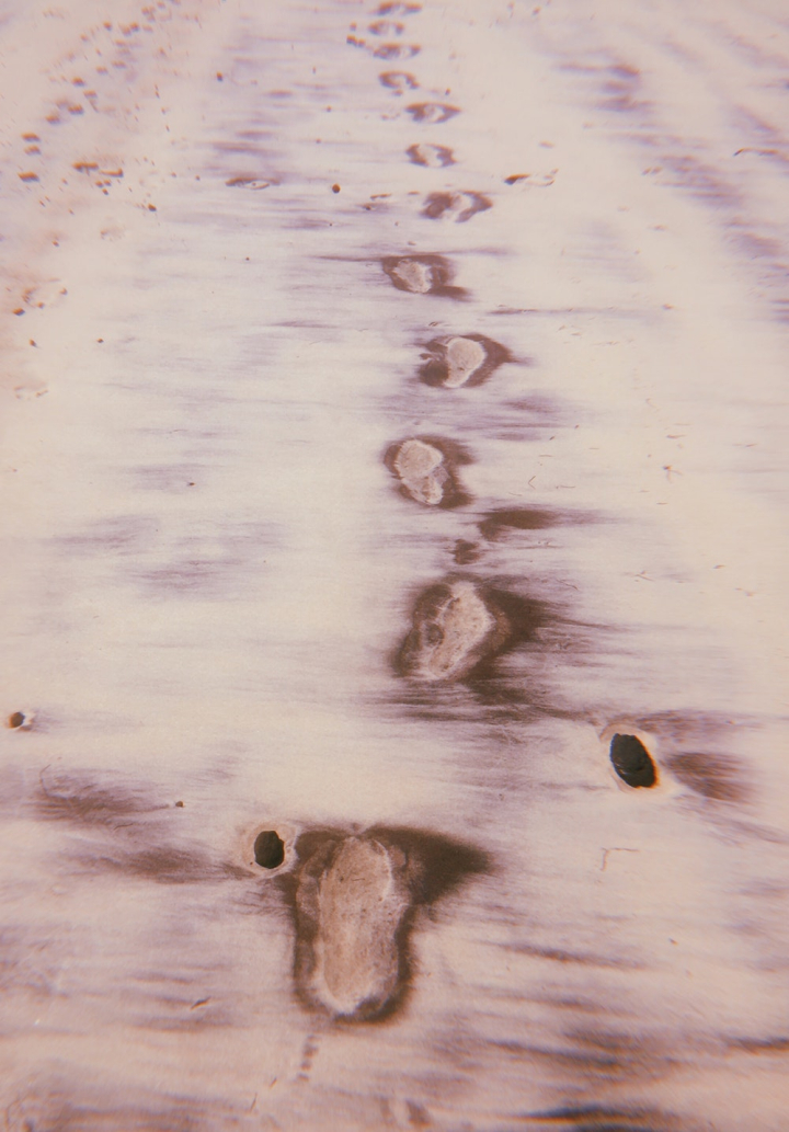 footprints,sand,seashore,shore
