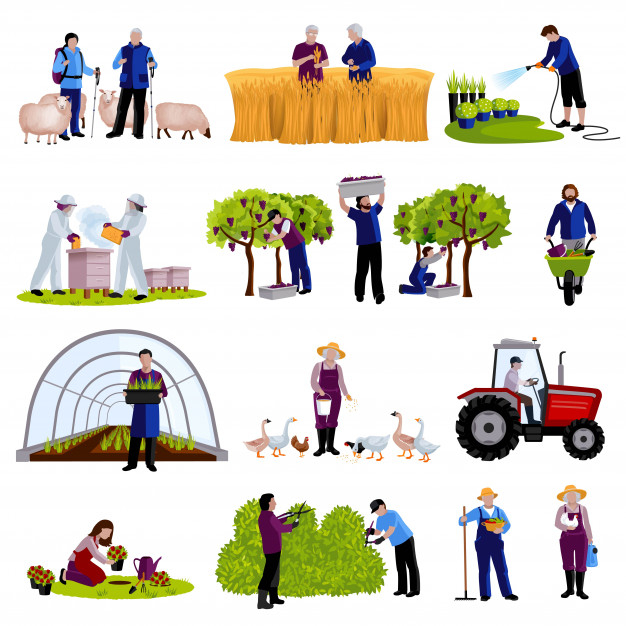 gardeners,agronomist,cattleman,beekeepers,forcing,herder,trimming,raising,harvesting,cultivation,geese,moments,feeding,pasture,watering,livestock,shepherd,farmers,crop,hive,tunnel,gardener,cattle,pictures,rural,meadow,vineyard,set,countryside,collection,harvest,icon set,lamb,flat icon,land,tractor,outdoor,field,business icons,growth,mountains,plants,ecology,farmer,agriculture,sheep,meat,organic,wheat,flat,fruits,work,icons,landscape,nature,business