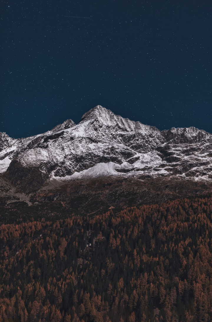 forest,landscape,majestic,mountain,nature,rocky mountain,scenic,snow,snow capped,trees,woods