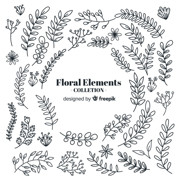 Free: Colorless hand drawn floral decorative elements - nohat.cc