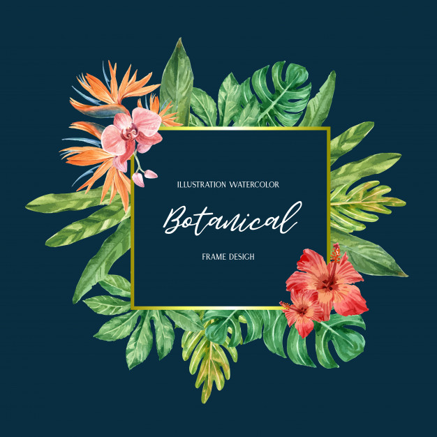 summer tropical,blooming,exotic,foliage,season,blossom,safari,botanical,bouquet,hawaii,vacation,palm,plants,jungle,creative,decoration,holiday,festival,tropical,text,discount,leaves,art,typography,retro,animal,nature,green,summer,border,design,travel,flowers,party,invitation,tree,floral,sale,vintage,watercolor,frame
