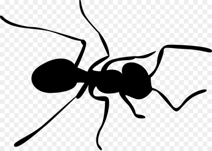 ant,insect,pest,membranewinged insect, cartoon,blackandwhite,png