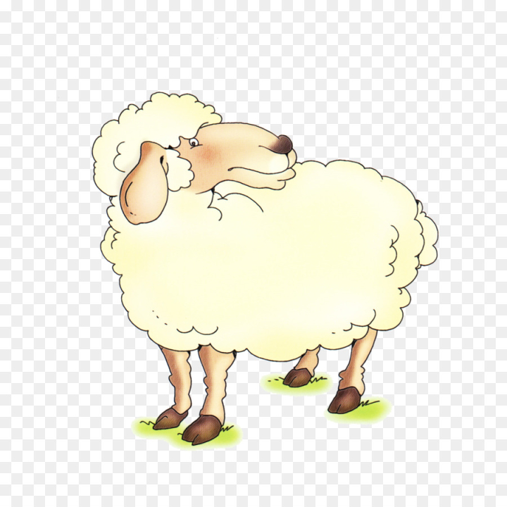 Free: Sheep, Bird, Chicken, Cartoon PNG - nohat.cc