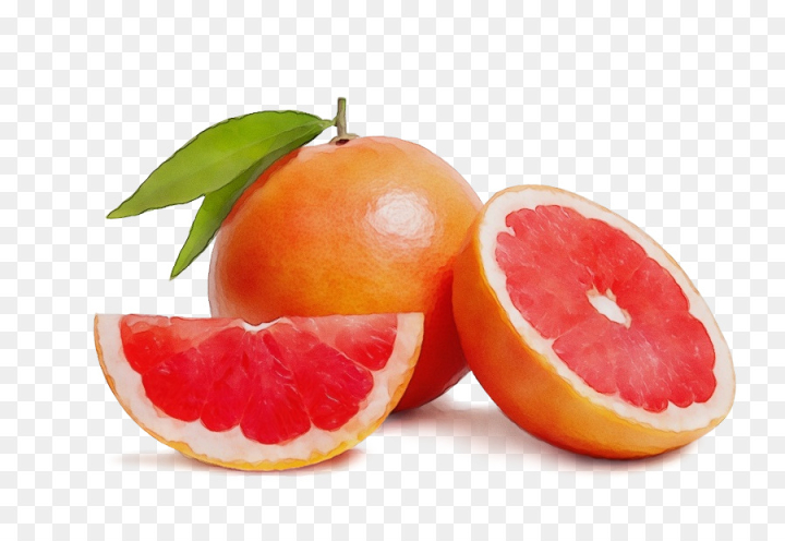 watercolor,paint,wet ink,citrus,fruit,grapefruit,food,natural foods,tangerine,mandarin orange,clementine,plant,citric acid,png