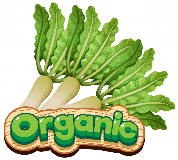 ingredient,crops,farming,fresh,vegetable,healthy,agriculture,organic,plant,cartoon,food