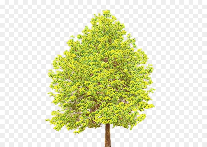  cartoon,tree,plant,green,woody plant,leaf,american larch,flower,grass,plane,thuya,png