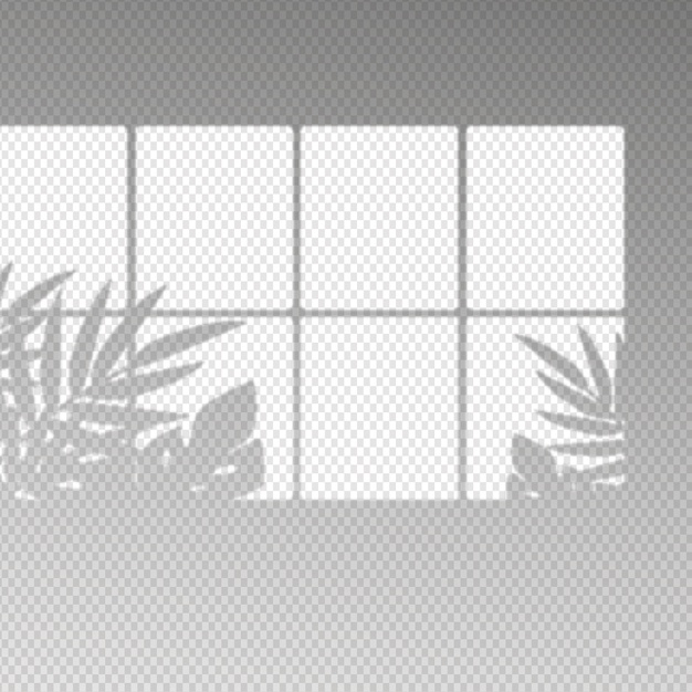 indoors,shade,outside,inside,transparency,outdoors,shadows,concept,overlay,windows,transparent,element,effect,shadow,grey,plants,window,leaves,nature,light,leaf,design,abstract