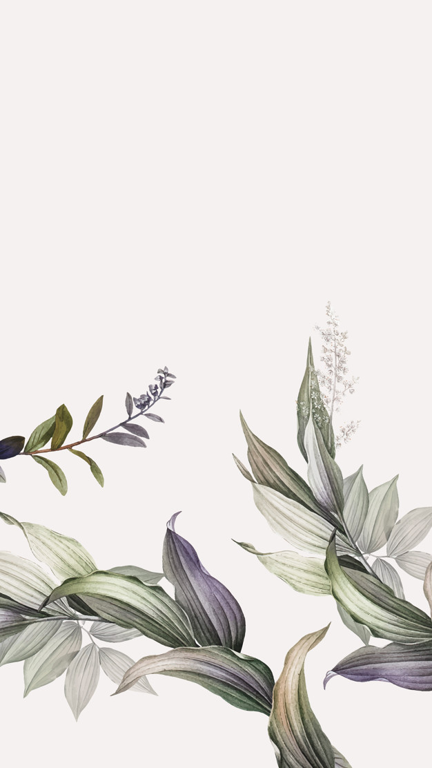 copy space,copyspace,text space,lush,faded,botany,illustrated,botanic,empty,copy,cream background,greenery,foliage,blank,salt,tropical background,botanical,word,cream,natural,drawing,decoration,plant,backdrop,white,purple,tropical,text,leaves,art,space,wallpaper,nature,green,leaf,summer,border,frame,pattern,banner,background