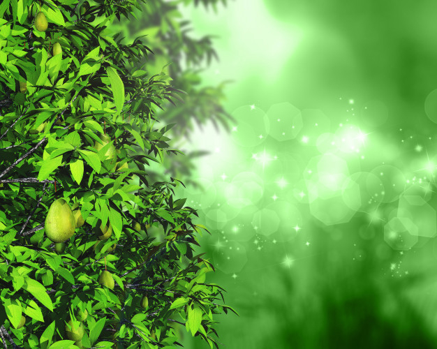 Free: 3d leaves and fruit on a defocussed background with bokeh lights and  stars Free Photo 