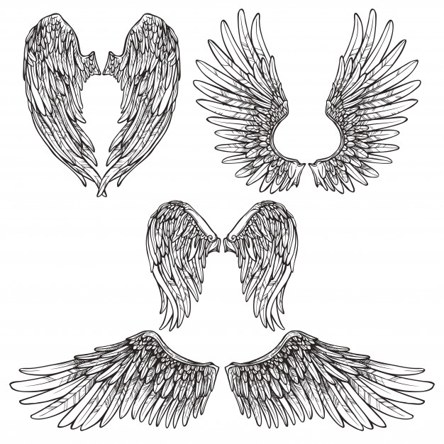 limb,contour,set,stencil,flying,collection,gothic,ornate,celtic,flying bird,icon set,heaven,drawn,angel wings,pigeon,hand icon,medieval,abstract shapes,baroque,devil,victorian,flight,air,freedom,dove,symbol,ornamental,decorative,wing,emblem,tribal,elements,swirl,sketch,wings,shape,feather,angel,doodle,tattoo,art,icons,hand drawn,sky,animal,bird,nature,template,ornament,hand,abstract