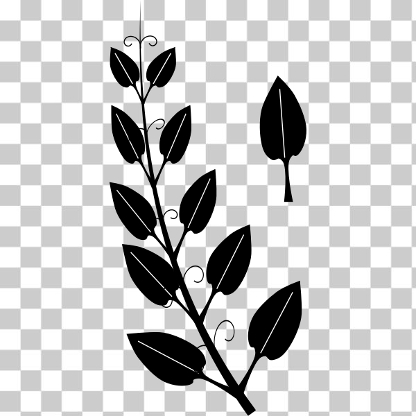 botany,branch,chalkboard,flower,leaf,monochrome,plant,tree,twig,vine,black and white,Plant stem,Flowering plant,opposite leaf,tendril,svg,freesvgorg