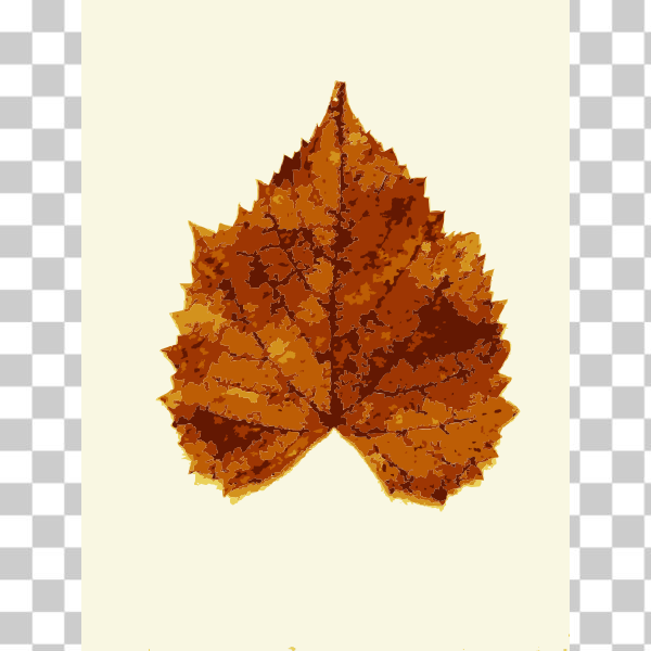 vectorized,Woody plant,Maple leaf,Sweet gum,Black maple,fall2013,svg,freesvgorg,beech,deciduous,fall,halloween2013,leaf,leaves,plane,plant,tree,upload2openclipart