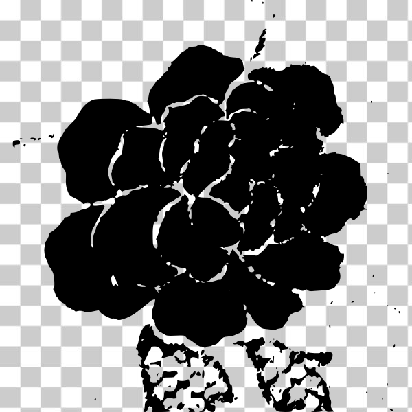 Asia,chaozhou,China,flower,fruit,grape,illustration,ink,pattern,plant,upload2openclipart,vectorized,wallpaper,black and white,Monochrome photography,Herbaceous plant,Vitis,vectorizer+potrace,cny2014,svg,freesvgorg