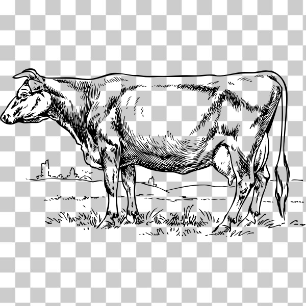 milk,Ox,Pasture,Cow-goat family,Coloring book,Working animal,Dairy cow,svg,freesvgorg,animal,bovine,cattle,Cow,drawing,externalsource,farm,line-art,livestock
