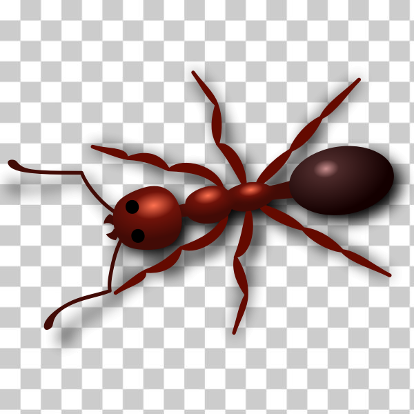 Membrane-winged insect,Carpenter ant,svg,freesvgorg,animals,ant,arthropod,insect,invertebrate,pest,red,spider,termite