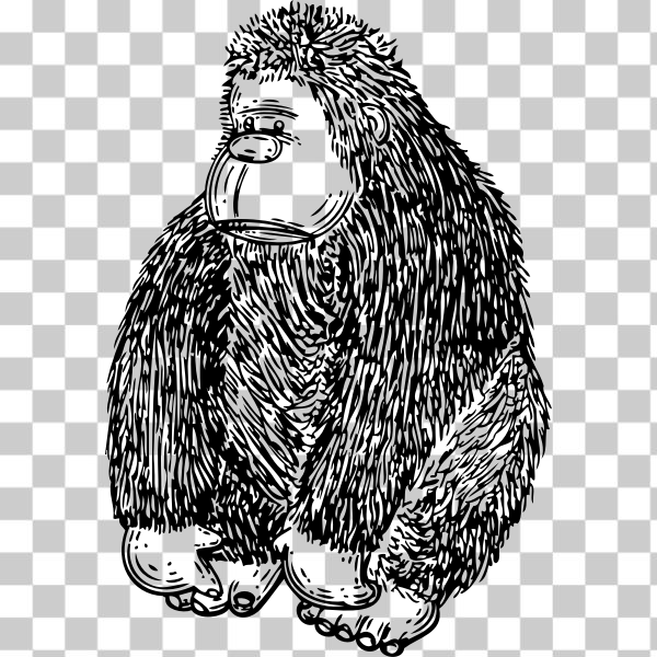 sketch,uspto,black and white,Coloring book,svg,freesvgorg,animal,cartoon,clip-art,drawing,externalsource,gorilla,graphics,head,illustration,line-art,primate