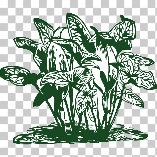 Houseplant,Flowering plant,Herbaceous plant,Plant images,svg,freesvgorg,botany,externalsource,flower,flowerpot,leaf,line-art,plant,tropical,black and white,Terrestrial plant