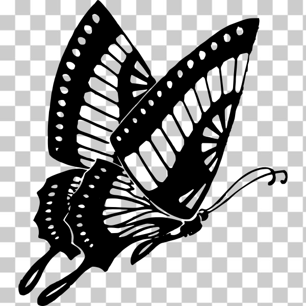 animals,beautiful,black,butterfly,insect,nature,spring,white,Color 1,svg,freesvgorg