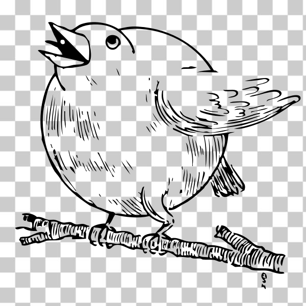 animal,beak,bird,cartoon,drawing,Encouraging,externalsource,font,illustration,line-art,songbird,white,Coloring book,Perching bird,bird robin,svg,freesvgorg