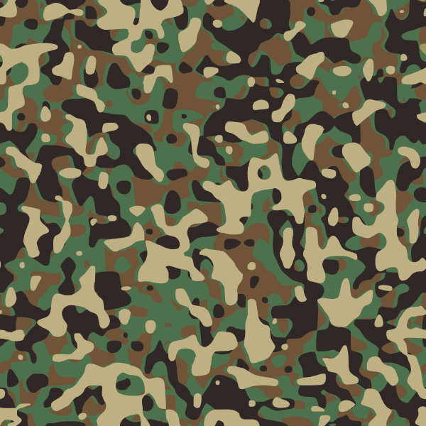 The ultimate guide to Camouflage Patterns