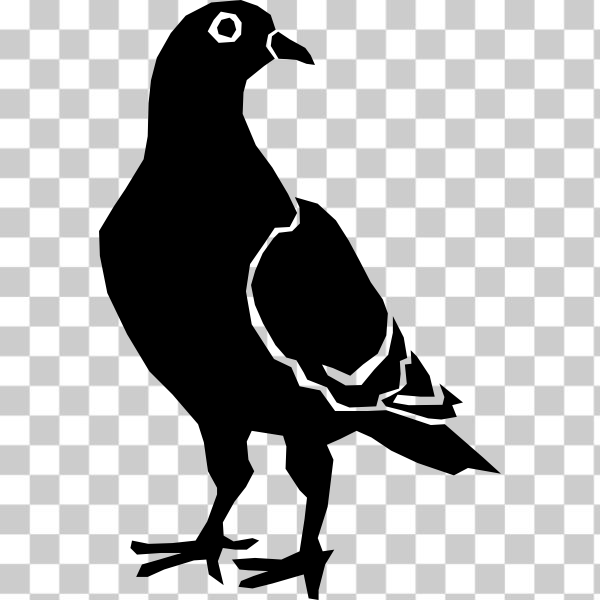 Crow-like bird,svg,freesvgorg,beak,bird,contour,crow,dove,illustration,pigeon,raven,Pigeons and doves,Rock dove