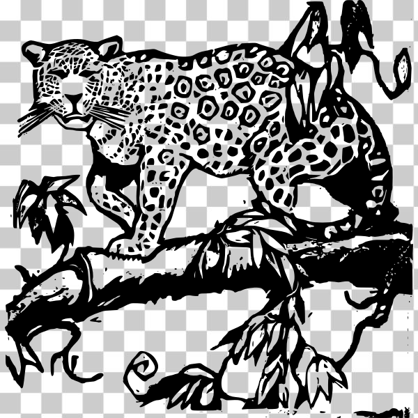 Felidae,Terrestrial animal,African leopard,Clouded leopard,svg,freesvgorg,animal,clip-art,externalsource,jaguar,leopard,line-art,mammal,nature,wildlife,black and white