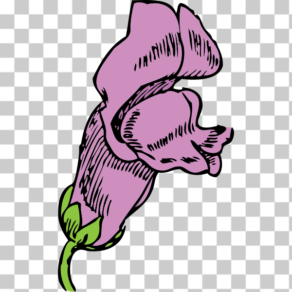 tulip,Herbaceous plant,Snapdragon,svg,freesvgorg,clip-art,drawing,externalsource,flower,graphics,illustration,line-art,pink,plant