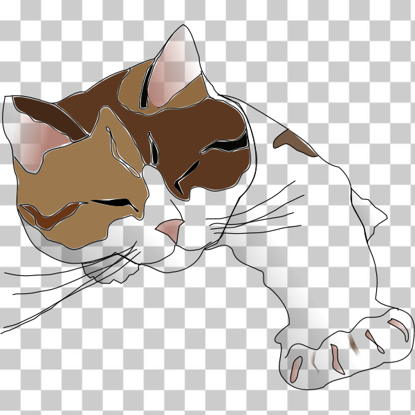 Small to medium-sized cats,Felidae,American wirehair,Cats for pottery,svg,freesvgorg,animals,calico,carnivore,cat,clip-art,feline,nose,paw,whiskers,Snout