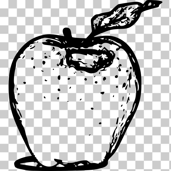 apple,art,food,fruit,line,line art,line-art,sketch,how i did it,svg,freesvgorg